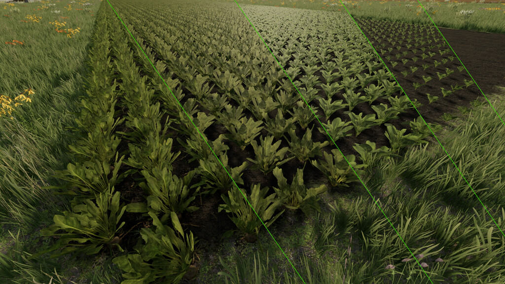 Grow Now 1.0.0.0 FS22 Mod Download