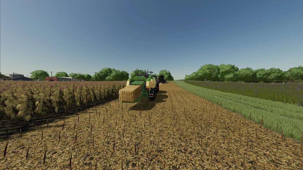 Extended Straw Crops v1.0 FS22 Mod Download